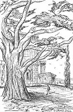 Click on the image to enlarge (116.8 kB)