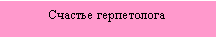 Подпись: Счастье герпетолога