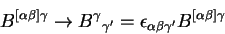 \begin{displaymath}B^{\left[\alpha\beta\right]\gamma}\rightarrow
{B^\gamma}_{\ga...
...{\alpha\beta{\gamma^\prime}}
B^{\left[\alpha\beta\right]\gamma}\end{displaymath}