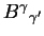 ${B^\gamma}_{\gamma^\prime}$