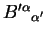 ${B^{\prime\alpha}}_{\alpha^\prime}$