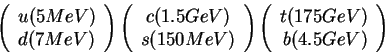 \begin{displaymath}
\left(
\begin{array}{l}u(5 MeV)\\ d(7 MeV)\end{array}\right)...
...left(
\begin{array}{r}t(175 GeV)\\ b(4.5 GeV)\end{array}\right)\end{displaymath}